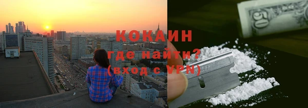 твердый Новозыбков
