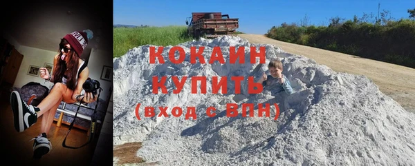твердый Новозыбков