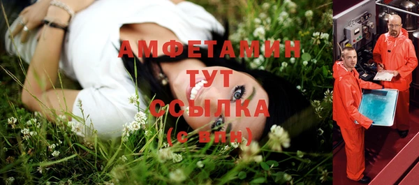 твердый Новозыбков