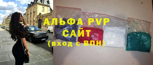 твердый Новозыбков