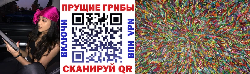 Псилоцибиновые грибы мухоморы  кракен ONION  Переславль-Залесский 