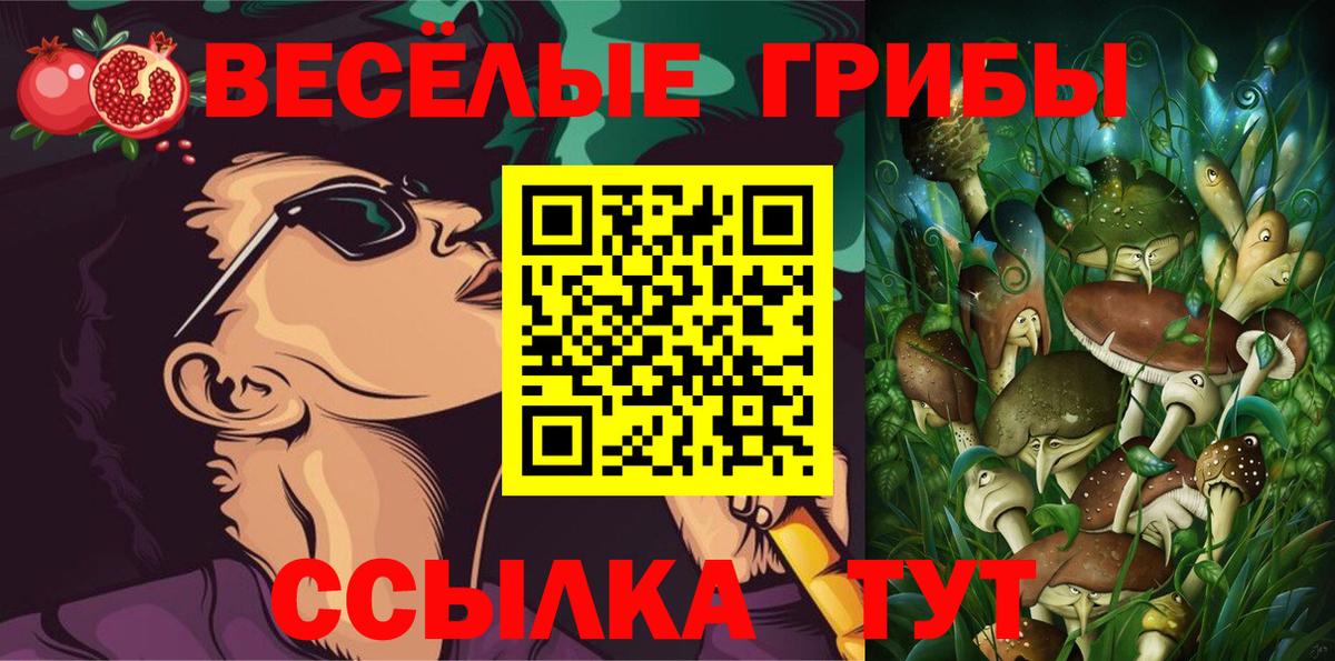 Переславль-Залесский  Галлюциногенные грибы мицелий  Вход с VPN  Галлюциногенные грибы прущие грибы 